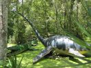 PICTURES/Dinosaur World Florida/t_IMG_6033.jpg
